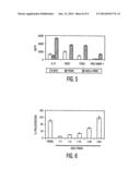 MESENCHYMAL STEM CELLS AND USES THEREFOR diagram and image