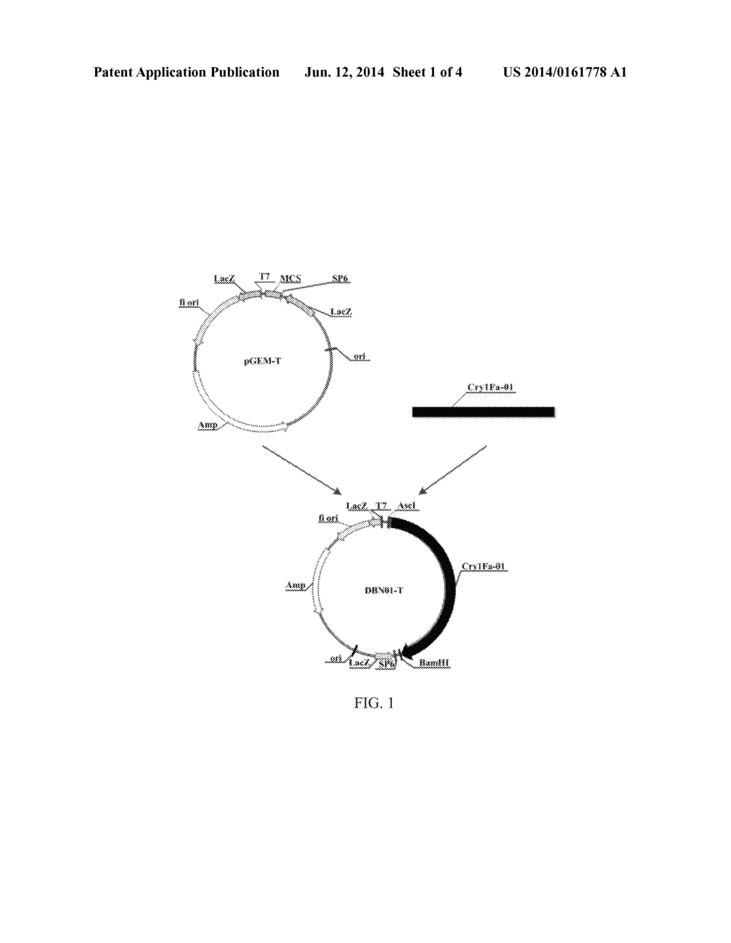 Method of Pest Control - diagram, schematic, and image 02