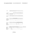 ANTI- TNF ANTIBODIES, COMPOSITIONS, METHODS AND USES diagram and image