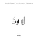 ANTI- TNF ANTIBODIES, COMPOSITIONS, METHODS AND USES diagram and image