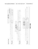 ANTI-HEMAGGLUTININ ANTIBODIES AND METHODS OF USE diagram and image