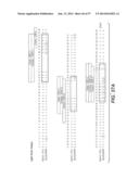 ANTI-HEMAGGLUTININ ANTIBODIES AND METHODS OF USE diagram and image