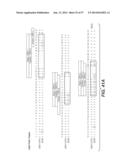 ANTI-HEMAGGLUTININ ANTIBODIES AND METHODS OF USE diagram and image