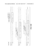 ANTI-HEMAGGLUTININ ANTIBODIES AND METHODS OF USE diagram and image