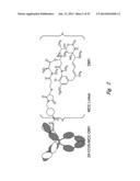 BCMA  ANTIGEN BINDING PROTEINS diagram and image