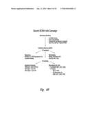 BCMA  ANTIGEN BINDING PROTEINS diagram and image