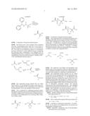 AMINOPHOSPHINIC DERIVATIVES THAT CAN BE USED IN THE TREATMENT OF PAIN diagram and image