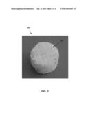 Hybrid Tissue Scaffold For Tissue Engineering diagram and image