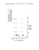 BIORESORBABLE POROUS FILM diagram and image