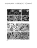 Dynamic Macropore Formation Using Multiple Porogens diagram and image