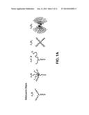 Multigraft Copolymers as Superelastomers diagram and image