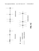 Multigraft Copolymers as Superelastomers diagram and image