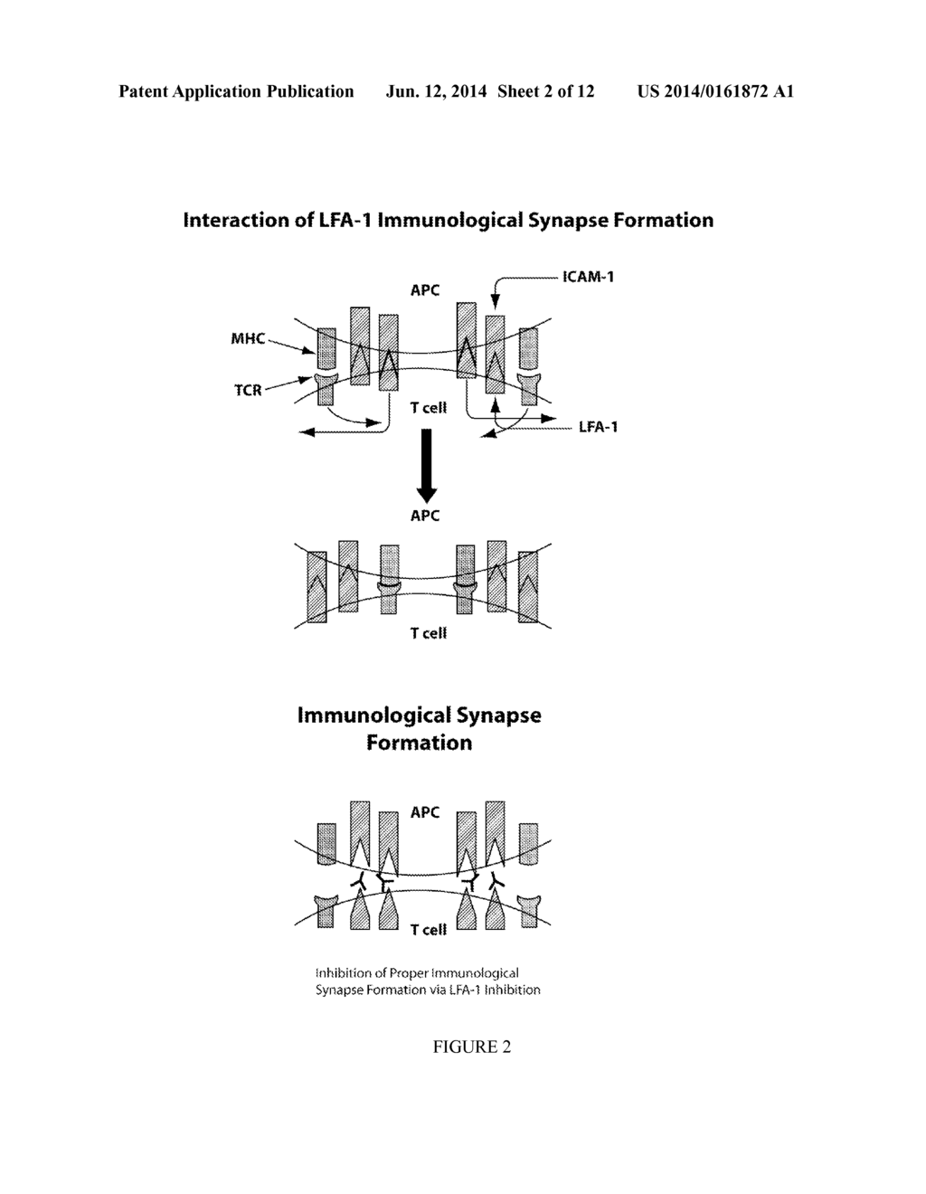 COMPOSITIONS AND METHODS FOR TREATMENT - diagram, schematic, and image 03