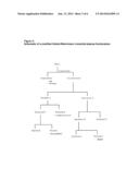 METHODS TO REDUCE ADVERSE EVENTS CAUSED BY PHARMACEUTICAL PREPARATIONS     COMPRISING PLASMA DERIVED PROTEINS diagram and image