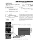 Carbon Nanomaterial diagram and image