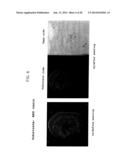 PROCESS FOR PRECIPITATION OF CONDUCTING POLYMER/METAL COMPOSITES, AND     CONDUCTING POLYMER/METAL COMPOSITES diagram and image