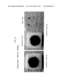 PROCESS FOR PRECIPITATION OF CONDUCTING POLYMER/METAL COMPOSITES, AND     CONDUCTING POLYMER/METAL COMPOSITES diagram and image