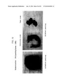 PROCESS FOR PRECIPITATION OF CONDUCTING POLYMER/METAL COMPOSITES, AND     CONDUCTING POLYMER/METAL COMPOSITES diagram and image