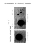 PROCESS FOR PRECIPITATION OF CONDUCTING POLYMER/METAL COMPOSITES, AND     CONDUCTING POLYMER/METAL COMPOSITES diagram and image