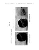 PROCESS FOR PRECIPITATION OF CONDUCTING POLYMER/METAL COMPOSITES, AND     CONDUCTING POLYMER/METAL COMPOSITES diagram and image