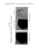 PROCESS FOR PRECIPITATION OF CONDUCTING POLYMER/METAL COMPOSITES, AND     CONDUCTING POLYMER/METAL COMPOSITES diagram and image