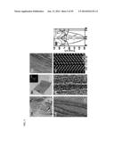 COMPOSITIONS COMPRISING FREE-STANDING TWO-DIMENSIONAL NANOCRYSTALS diagram and image