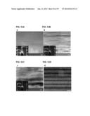 COMPOSITIONS COMPRISING FREE-STANDING TWO-DIMENSIONAL NANOCRYSTALS diagram and image