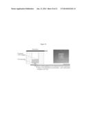 ISOTHERMAL NUCLEIC ACID AMPLIFICATION REACTOR WITH INTEGRATED SOLID STATE     MEMBRANE diagram and image