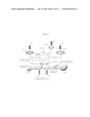 ISOTHERMAL NUCLEIC ACID AMPLIFICATION REACTOR WITH INTEGRATED SOLID STATE     MEMBRANE diagram and image