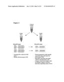 NOVEL SINGLE NUCLEOTIDE POLYMORPHISMS AND COMBINATIONS OF NOVEL AND KNOWN     POLYMORPHISMS FOR DETERMINING THE ALLELE-SPECIFIC EXPRESSION OF THE IGF2     GENE diagram and image