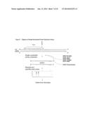 NOVEL SINGLE NUCLEOTIDE POLYMORPHISMS AND COMBINATIONS OF NOVEL AND KNOWN     POLYMORPHISMS FOR DETERMINING THE ALLELE-SPECIFIC EXPRESSION OF THE IGF2     GENE diagram and image