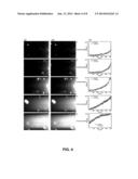 Method and Device for Generating a Tunable Array of Fluid Gradients diagram and image