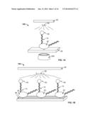 ROTATION-DEPENDENT TRANSCRIPTIONAL SEQUENCING SYSTEMS AND METHODS OF USING diagram and image