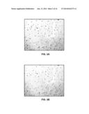 ROTATION-DEPENDENT TRANSCRIPTIONAL SEQUENCING SYSTEMS AND METHODS OF USING diagram and image