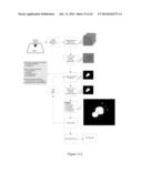 ROTATION-DEPENDENT TRANSCRIPTIONAL SEQUENCING SYSTEMS AND METHODS OF USING diagram and image