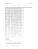 Novel Read-Through Fusion Polynucleotides and Polypeptides and Uses     Thereof diagram and image