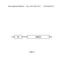 DGAT GENES COMPRISING PLECKSTRIN HOMOLOGY DOMAINS AND METHODS OF USE FOR     TRIGLYCERIDE PRODUCTION IN RECOMBINANT MICROORGANISMS diagram and image