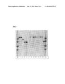 Recombinant Yeast Expressing AGT1 diagram and image