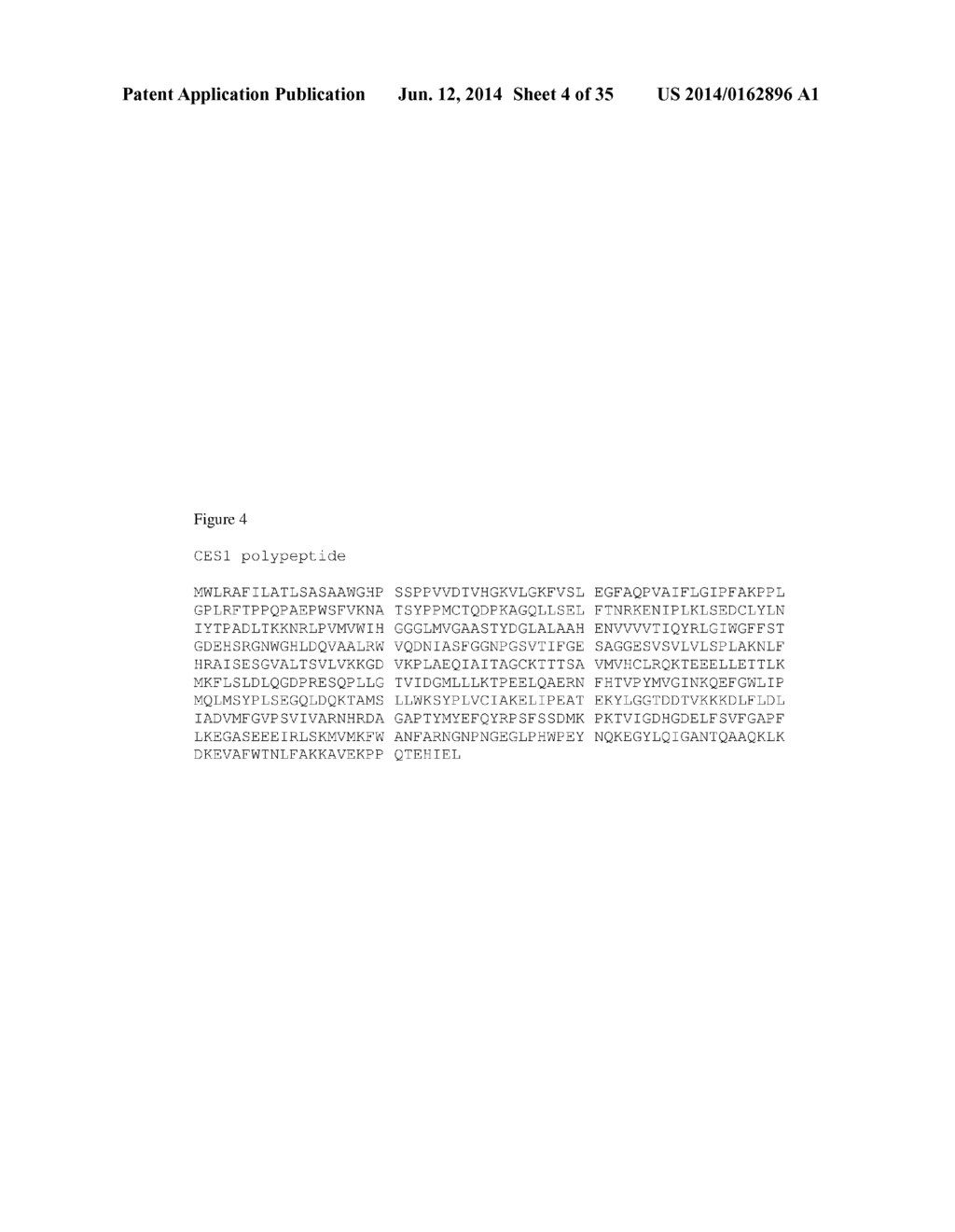 COMPOSITIONS AND METHODS FOR GENOTYPING CES1 GENETIC VARIANTS AND USE     THEREOF - diagram, schematic, and image 05