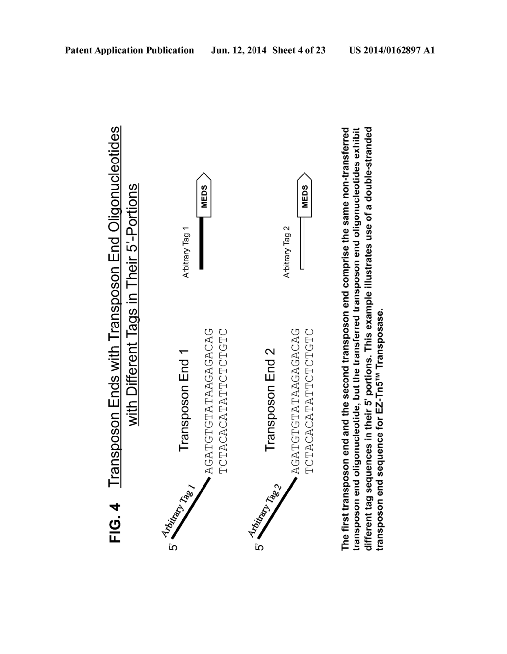 TRANSPOSON END COMPOSITIONS AND METHODS FOR MODIFYING NUCLEIC ACIDS - diagram, schematic, and image 05