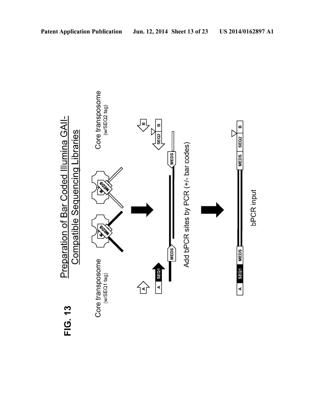 TRANSPOSON END COMPOSITIONS AND METHODS FOR MODIFYING NUCLEIC ACIDS - diagram, schematic, and image 14