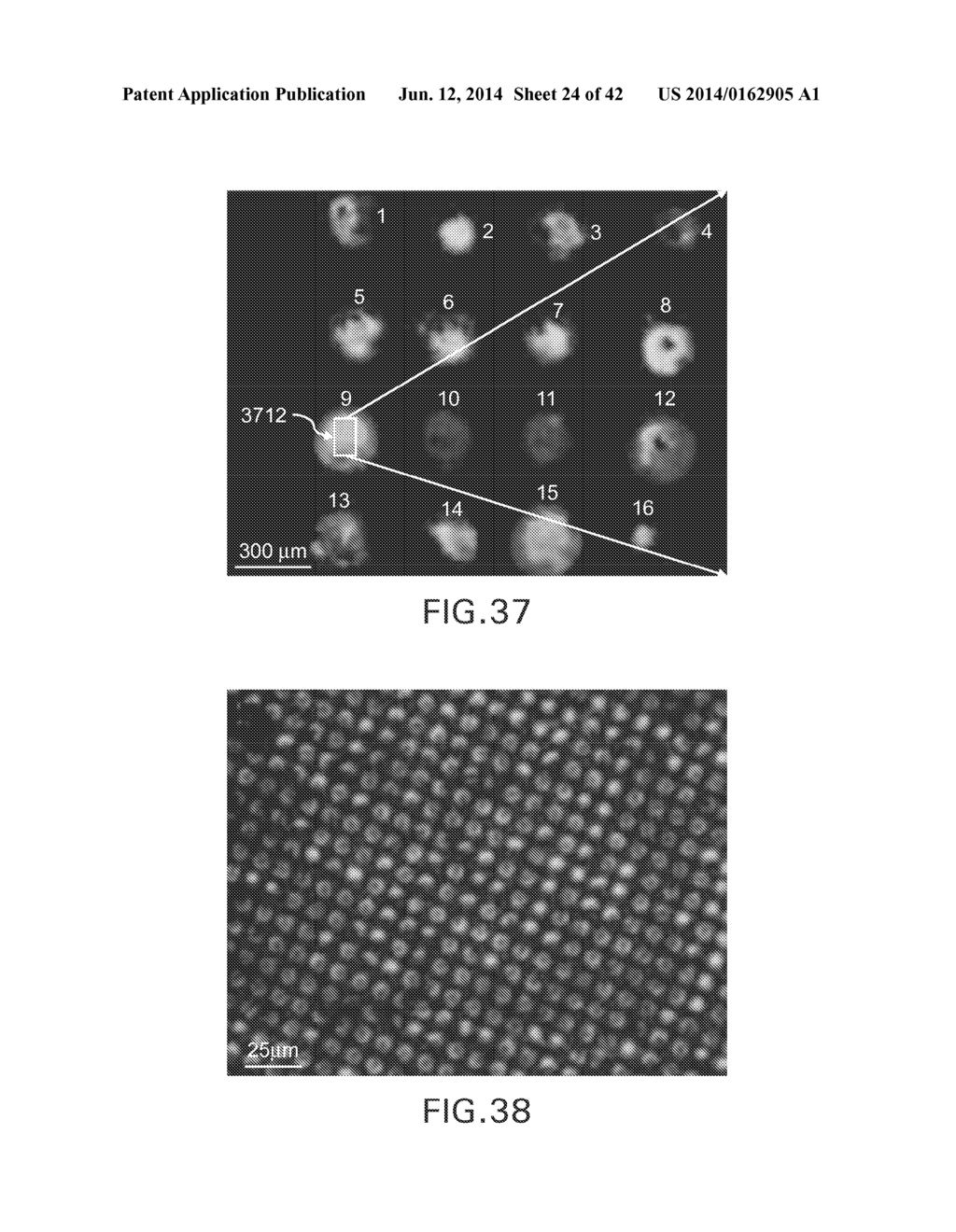 EVAPORATIVE EDGE LITHOGRAPHY OF A LIPOSOMAL DRUG MICROARRAY FOR CELL     MIGRATION ASSAYS - diagram, schematic, and image 25