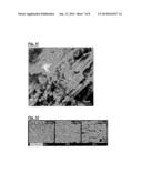 LUBRICATING COATING AGENT FOR PLASTIC WORKING AND METHOD FOR PRODUCING THE     SAME diagram and image