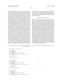 ERAP1-DERIVED PEPTIDE AND USE THEREOF diagram and image