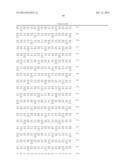 ERAP1-DERIVED PEPTIDE AND USE THEREOF diagram and image