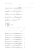 ERAP1-DERIVED PEPTIDE AND USE THEREOF diagram and image