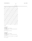 ERAP1-DERIVED PEPTIDE AND USE THEREOF diagram and image