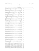 ERAP1-DERIVED PEPTIDE AND USE THEREOF diagram and image