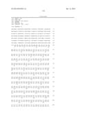 ERAP1-DERIVED PEPTIDE AND USE THEREOF diagram and image