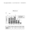 ERAP1-DERIVED PEPTIDE AND USE THEREOF diagram and image